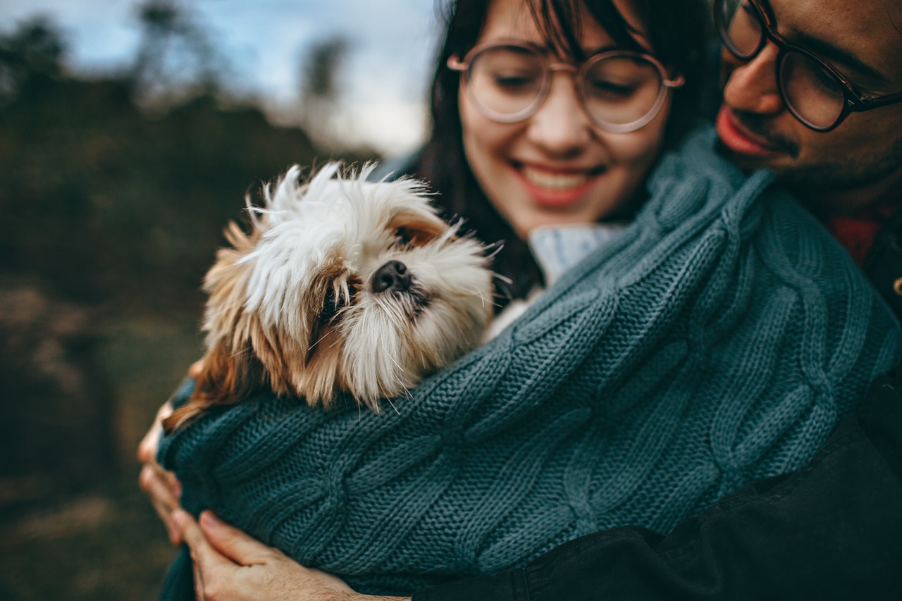 Uittest gedrag van je hond